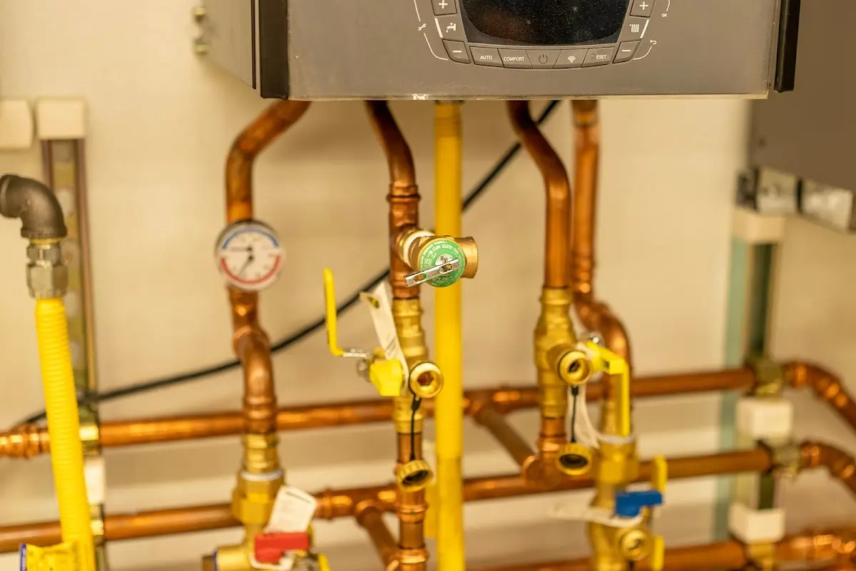 Licensed technician providing Sump Pump Repair for a homeowner in Garden City